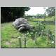Auckland Zoo 097.jpg